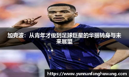 ballbet贝博官方网站